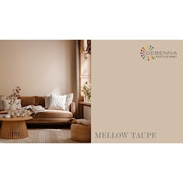 mellow taupe.jpg